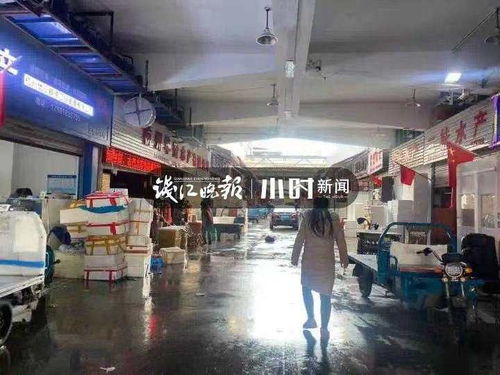 浙籍奧運(yùn)冠軍同款 鮮掉眉毛的東海梭子蟹 帶魚最快3日凌晨到杭州