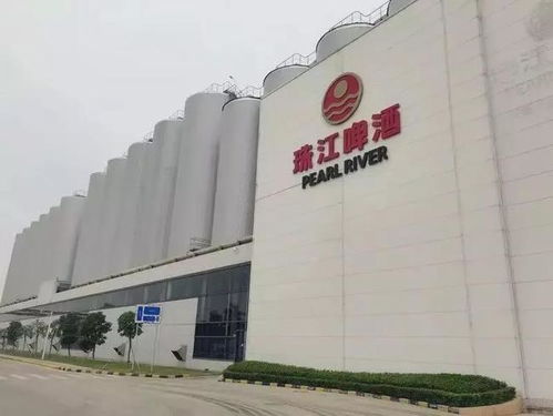 南沙崛起 廣州下一個琶醍，商務信息咨詢新機遇